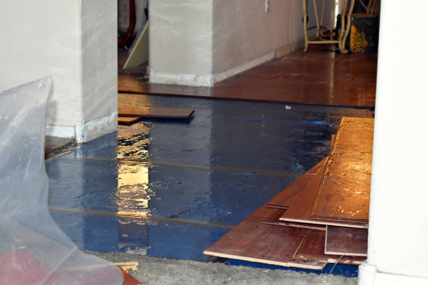 Professional Water Damage Restoration technician working in Mooreland, IN